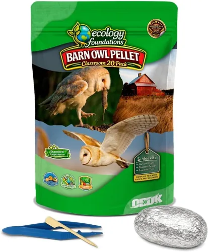 Vista 7 de NW Barn - Kit de disección de excrementos de búho (incluye instrumental e ilustraciones educativas)