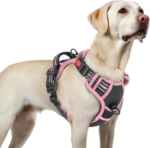 Vista 74 de Rabbitgoo - Arnés para perro de tamaño pequeño, arnés para mascotas sin tirones con 3 hebillas, chaleco acolchado suave ajustable con mango