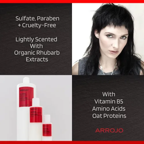 Vista 3 de ARROJO AP100-MIC