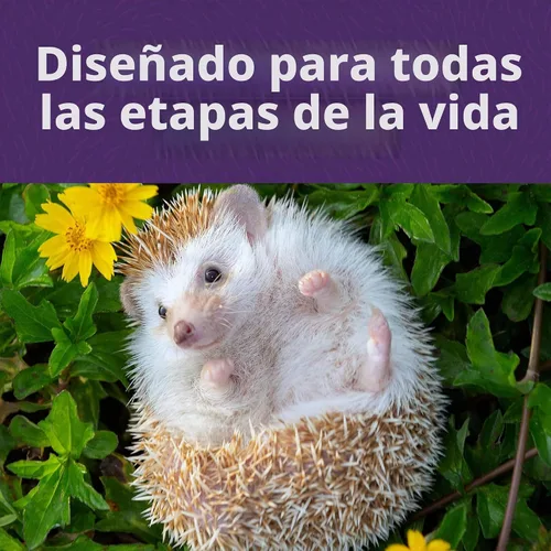 Vista 3 de Mazuri Alimento nutricionalmente completo para erizo Bolsa de 8 onzas (8 onzas)