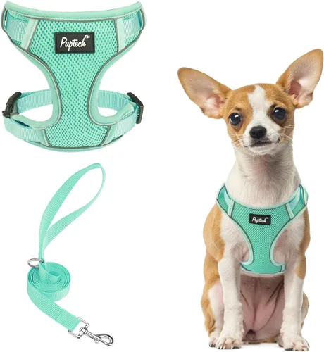 Vista 42 de PUPTECK Juego de arnés y correa para perro pequeño, arnés ajustable sin tirones para cachorro, chaleco de malla suave reflectante para mascotas