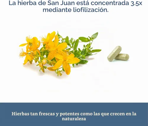 Vista 6 de Hierba ecléctica, cápsulas de hierba de San Juan, soporte del sistema nervioso, 120 CT Azul