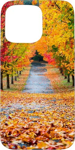 Vista 30 de iPhone 11 Otoño Hojas - Hermoso estuche de arboles