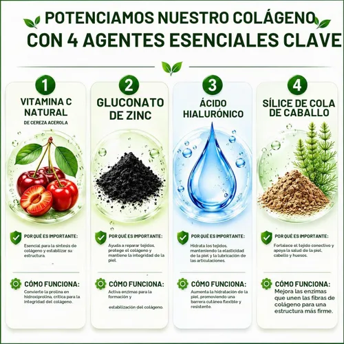 Vista 6 de HCL HERBAL CODE LABS Polvo de péptidos de colágeno con vitamina C y ácido hialurónico, fuentes más limpias y súper alta absorción, multitipo