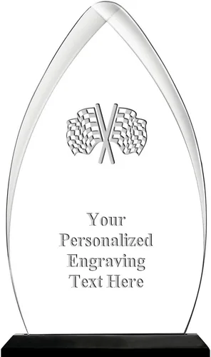 Vista 30 de Crown Awards Premio acrílico personalizado de 9.25 pulgadas de Gateway Skyline