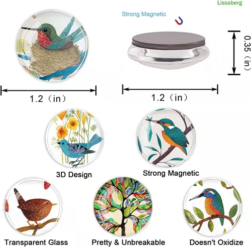 Vista 2 de 12 imanes de pájaros para refrigerador, imán redondo magnético de vidrio para decoración de nevera para taquilla, oficina escolar, pizarra blanca