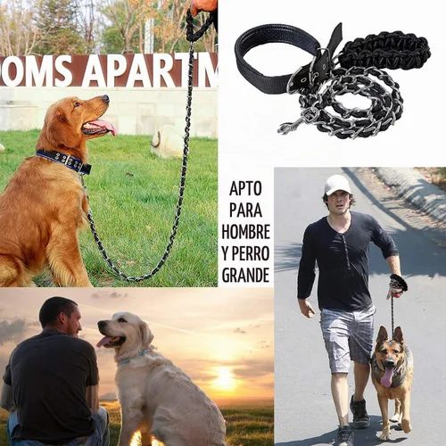 Vista 4 de Correa de metal para perro, correa de cadena con collar para mascotas, correas de entrenamiento para caminar, resistente, antimordeduras, gancho 360