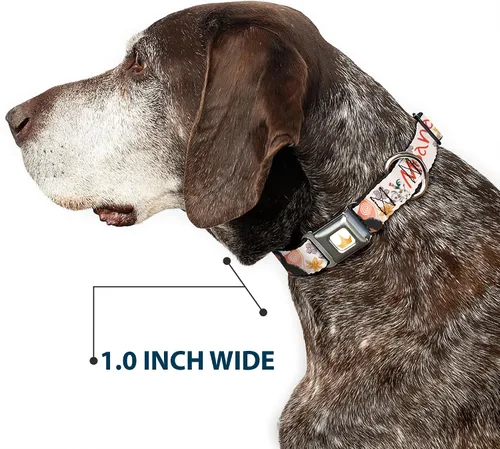 Vista 6 de Collar de perro con hebilla de cinturón de seguridad Moana con Pua y HEI HEI Sail Pose con Script Beige Naranja 9.5 a 13 pulgadas 1.0 pulgadas