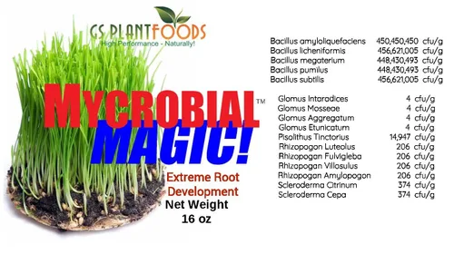 Vista 2 de GS Plant Foods - Estimulador de raíz micorrízica - MYCROBIAL Magic Root Enhancer para plantas Uso: paquete de 16 onzas. 4 especies de micorrizas