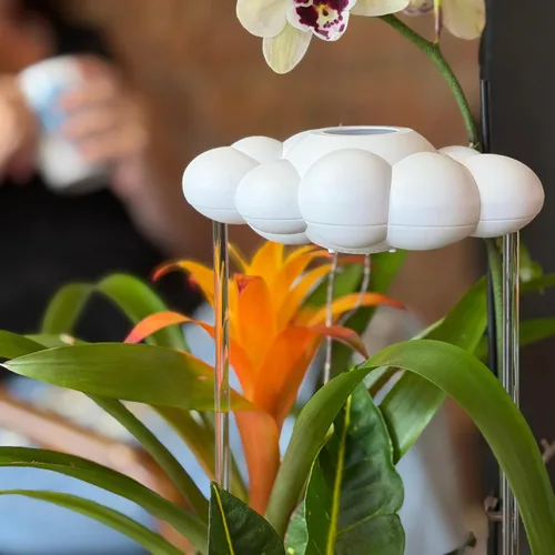 Vista 8 de La Nube Original de Lluvia Goteante para Plantas, Nube de Lluvia para Riego de Plantas, Regalos para Amantes de las Plantas, Regalos para Mujeres