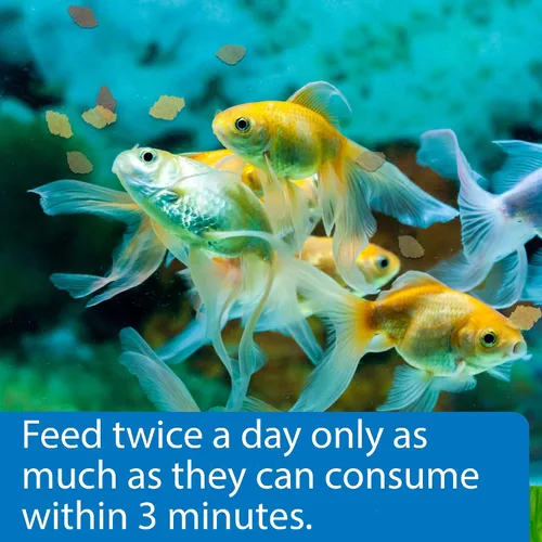 Vista 3 de API GOLDFISH FLAKES - Contenedor de comida para pescado, 0.36 onzas