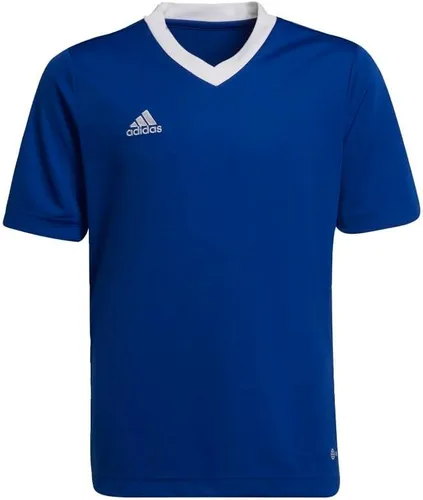 Vista 7 de adidas Camiseta Entrada 22 para niños
