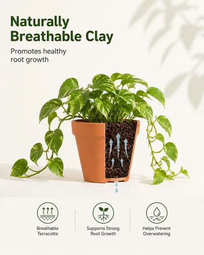 Vista 3 de Macetas de terracota y arcilla de 4 pulgadas para plantas, paquete