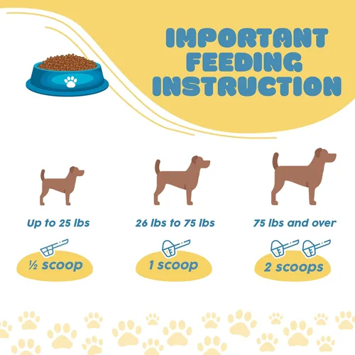 Vista 8 de Probióticos para perros, probióticos para gatos, probióticos para perros, probióticos para gatos, 5 mil millones de UFC + prebióticos + enzimas
