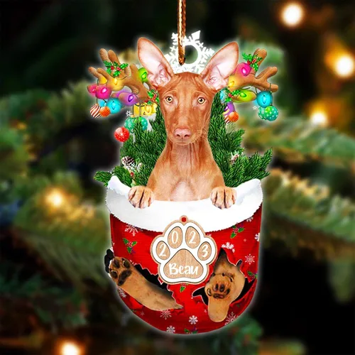 Vista 74 de NAZENTI Adorno Navideño de Bolsillo Personalizado de Affenpinscher en la Nieve, Adorno de Forma Acrílica de Perro, Adorno de Navidad 2023, Adorno