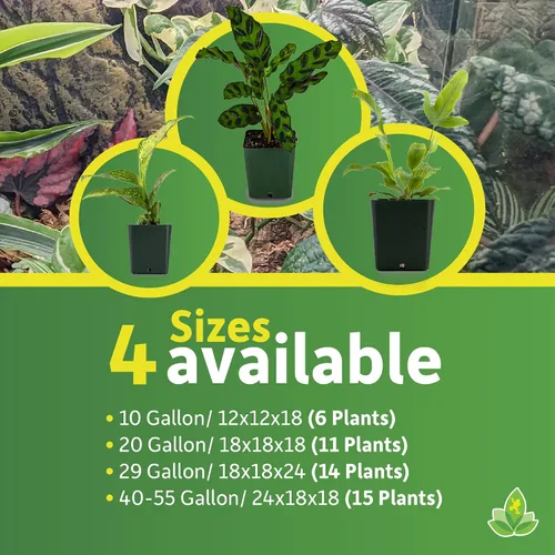 Vista 6 de Josh's Frogs Kit de plantas de vivario tropical de 12x12x18