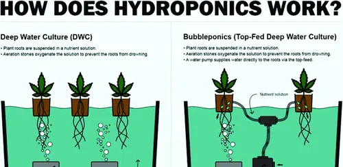 Vista 3 de The Atwater HydroPod - Kit de sistema de cultivo de agua profunda DWC - Cubo de burbujas de 5 galones - Bubbleponics - (sin nutrientes)