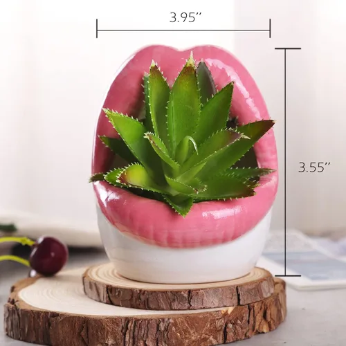 Vista 2 de WHJY Maceta de labios atractivos, maceta suculenta de cerámica - rosa