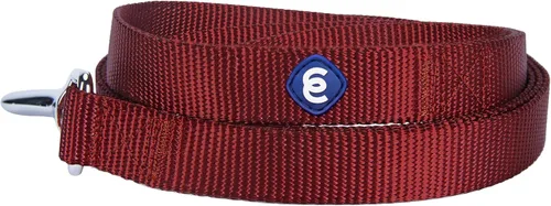 Vista 55 de Blueberry Pet - Correa Essentials clásica para perro con más de 20 colores, duradera, doble asa y de cuerda