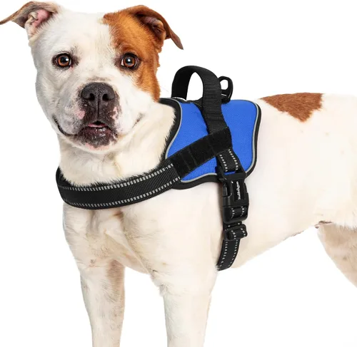 Vista 11 de rabbitgoo Arnés para perro de tamaño pequeño, chaleco para mascotas sin tirones, sin estrangulamiento, fácil de llevar con una hebilla, reflectante