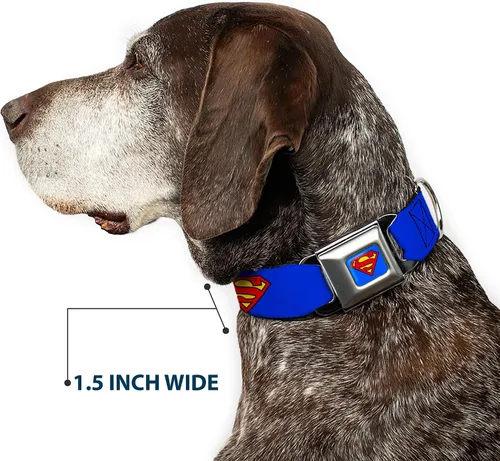 Vista 7 de Buckle-Down Collar de perro, hebilla de cinturón de seguridad, escudo