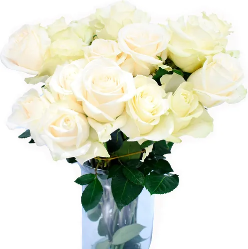 Vista 4 de Greenchoice Flowers - Rosas Rosa encendido