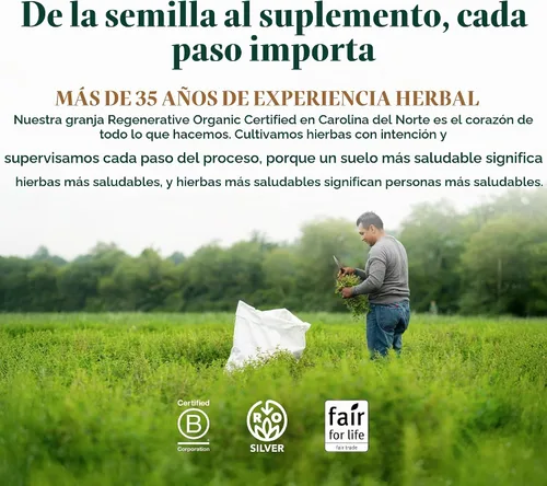Vista 8 de Gaia Herbs Hoja de ginkgo, 60 cápsulas veganas, 30 porciones