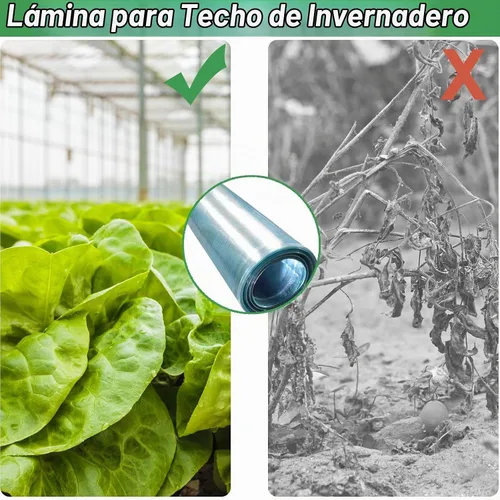 Vista 5 de Hoja de techo de policarbonato transparente, dosel de invernadero de plástico resistente a los rayos UV, paneles de aislamiento transparentes