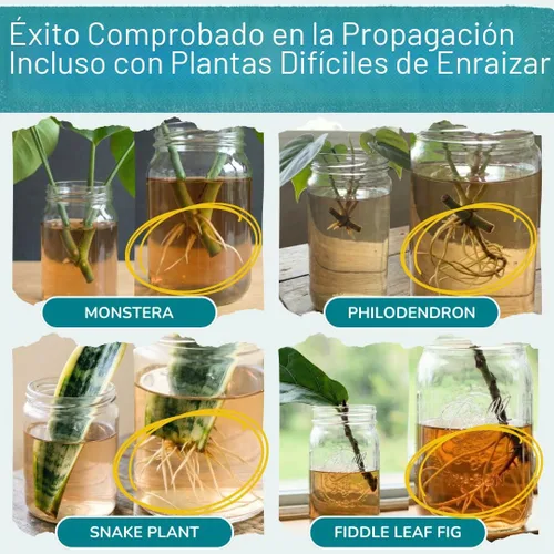 Vista 3 de Houseplant Prop Drops - Promotor de propagación y hormona de crecimiento de raíces Estimulador de raíces para esquejes Apoya plantas más fuertes
