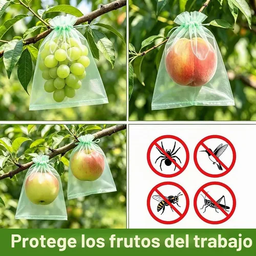 Vista 6 de YunKo 50 bolsas de protección de frutas de 6.5 x 9 pulgadas, bolsa de Verde oliva