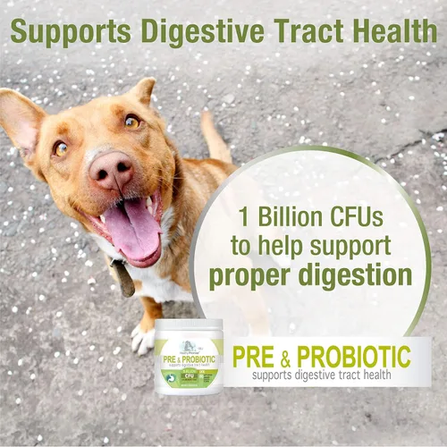 Vista 3 de Four Paws Healthy Promise Pre y probióticos para perros masticables suaves 90 unidades Savory chicken flavor soft chews, 1 billion CFU, with