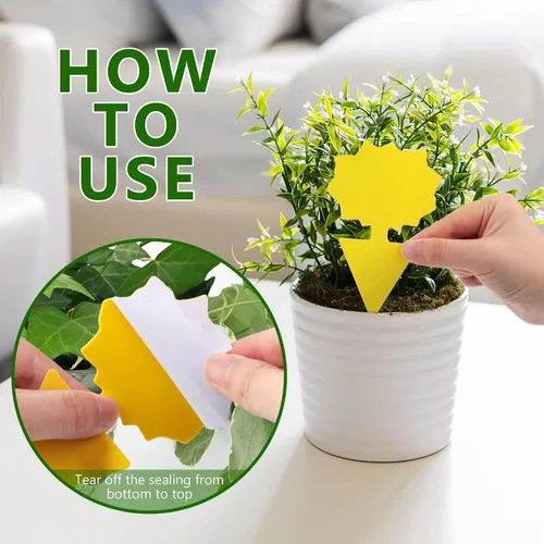 Vista 7 de Landisun Trampas para moscas de fruta, 48 unidades, trampas para mosquitos de hongos para interiores y exteriores, trampas adhesivas para moscas
