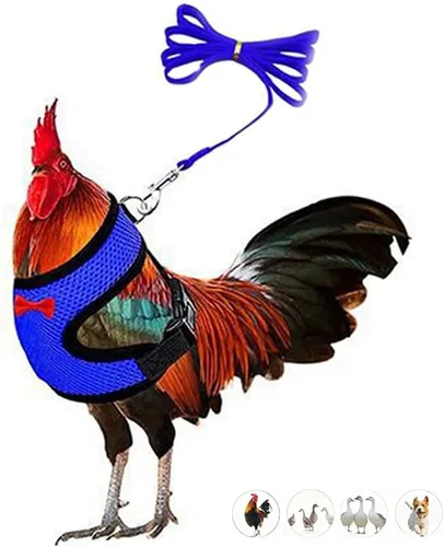 Vista 10 de Juego de arnés y correa para pollo, malla ajustable, transpirable, arnés de entrenamiento de pato, correas para mascotas, correas para ganso Negro