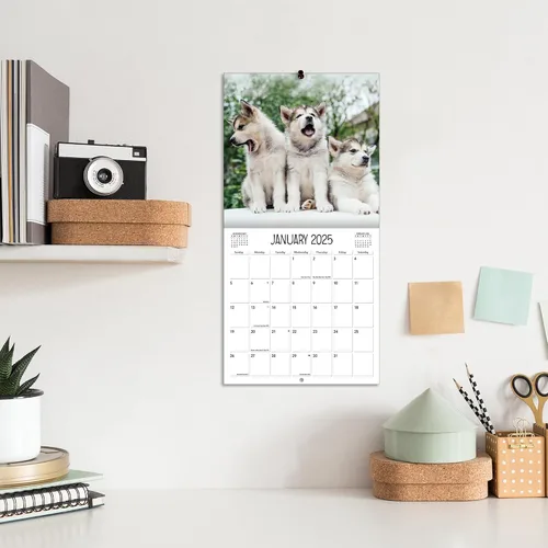 Vista 7 de Turner - Mini calendario fotográfico de pared de cachorros juguetones (25998950017)