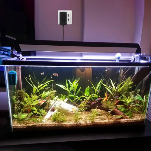 Vista 7 de UEETEK Adaptador de corriente LED AC110-240V DC12V 1A convertidor de fuente de alimentación conmutada para acuario tanque de peces luz