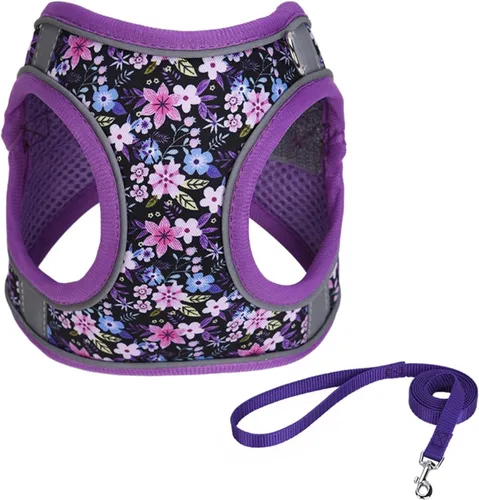 Vista 10 de Arnés de Paso para Perro Sin Tirones Abeja Melífera Ajustable de Malla Suave Acolchado Reflectante Chaleco para Mascotas Arnés y Correa Set