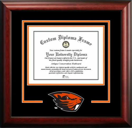Vista 16 de Marco de Diploma Spirit NCAA