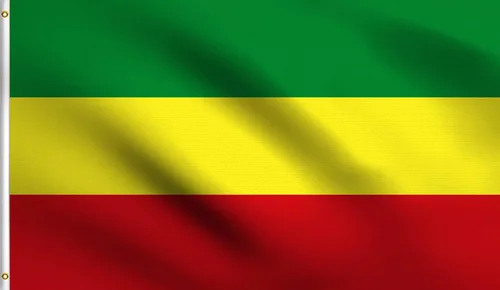 Vista 21 de DMSE - Bandera nacional beninesa beninesa de la República de África Occidental, 2 x 3 pies, 100 % poliéster, 100 % poliéster, resistente a los rayos