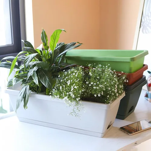 Vista 5 de Macetero para ventana, macetas de plástico para verduras, macetas rectangulares de 17 pulgadas con platillos para jardín interior y exterior