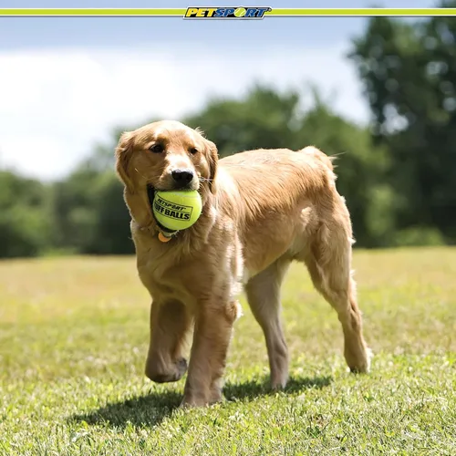 Vista 7 de PetSport Mega Tuff Ball - Mega pelotas de tenis para perros grandes, ideal para aburrimiento y masticadores agresivos, juguete para perros, pelotas