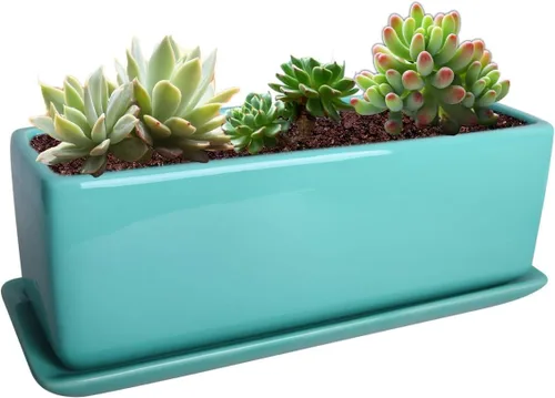 Vista 10 de Vencer Maceta rectangular moderna minimalista de cerámica para suculentas de 12 pulgadas, caja con ventana con platillo, soporte de escritorio