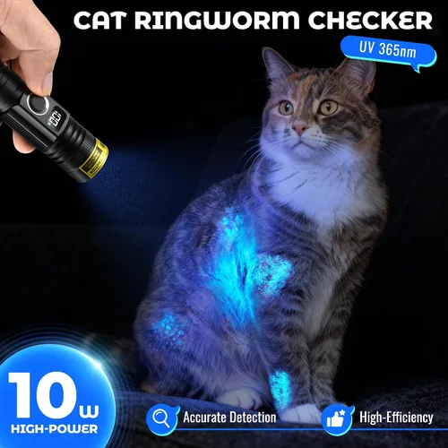 Vista 3 de DARKBEAM Luz negra recargable de la linterna ULTRAVIOLETA de 365nm