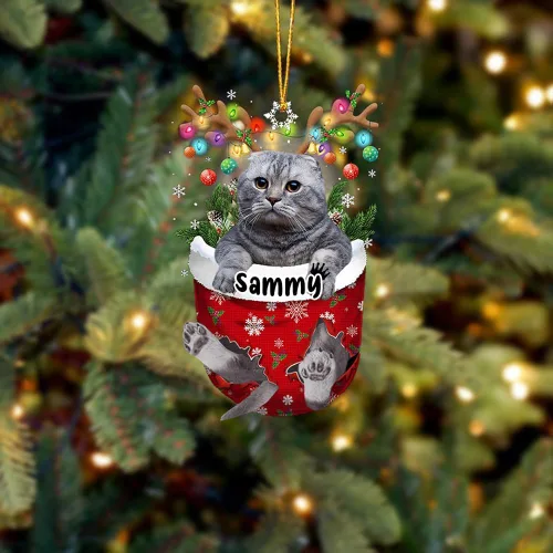 Vista 20 de Adorno personalizado de gato de rizo americano, adorno personalizado con nombre de mascota, colgante acrílico plano impreso en 2D, Papá Noel y gato