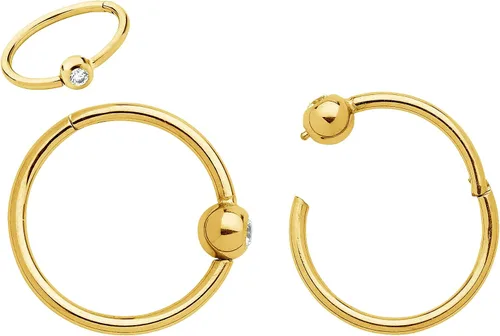 Vista 23 de 365 Sleepers Anillo de titanio de 18G de 0.236 a 0.394 pulgadas, con bisagras, segmento BCR, hélice, tragus, septum, nariz, labio, arete de aro