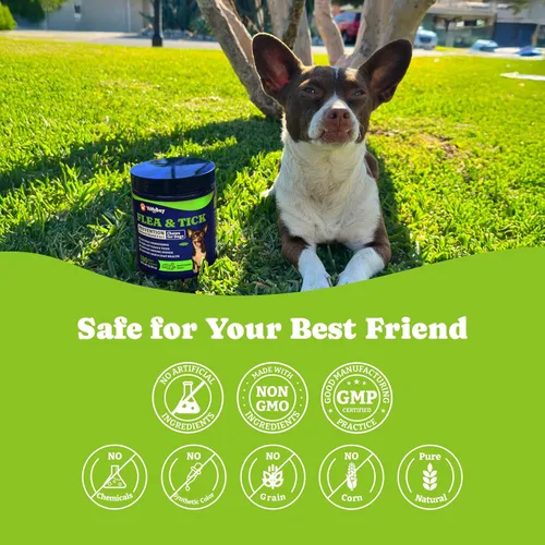 Vista 7 de Prevención de pulgas y garrapatas para perros masticables, píldoras orales para pulgas, suplemento para perros