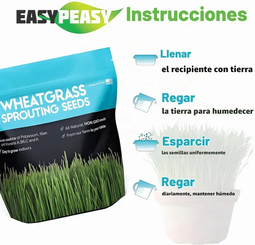 Vista 3 de Semillas de pasto de trigo Sin OGM Cultivadas en Estados Unidos de nuestra granja a tu mesa (2 libras)