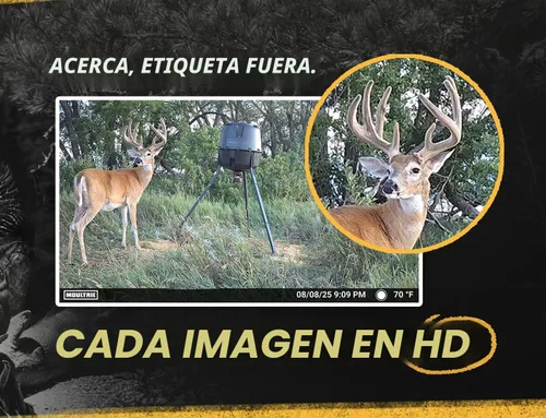Vista 4 de Moultrie Edge 2 Pro Cellular Trail Camera - Auto Connect Nationwide 4G LTE - On Demand 40MP Photo - 1440P Video with HD Audio - Ai False Trigger
