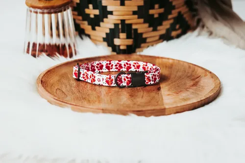Vista 2 de Western Paw Print Collar (Small)