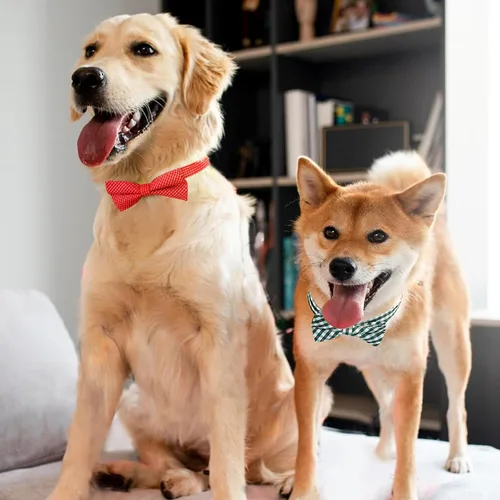 Vista 4 de Segarty Pajaritas para perros, 30 pajaritas de aseo para perros con cuello ajustable, corbatines para cachorros, a granel para mascotas pequeñas