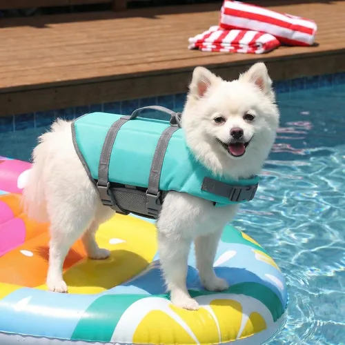 Vista 3 de Doglay Chaleco salvavidas para perros con asa de rescate, chaleco salvavidas para perros para nadar en barco, chaleco de natación reflectante Azul